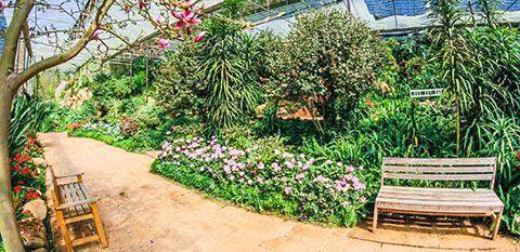 Jardinagem Terceirizada Jardinagem Terceirizada